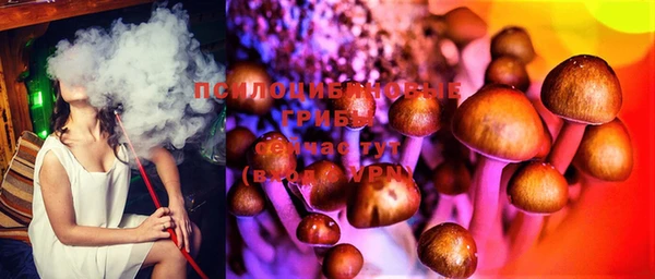 spice Корсаков